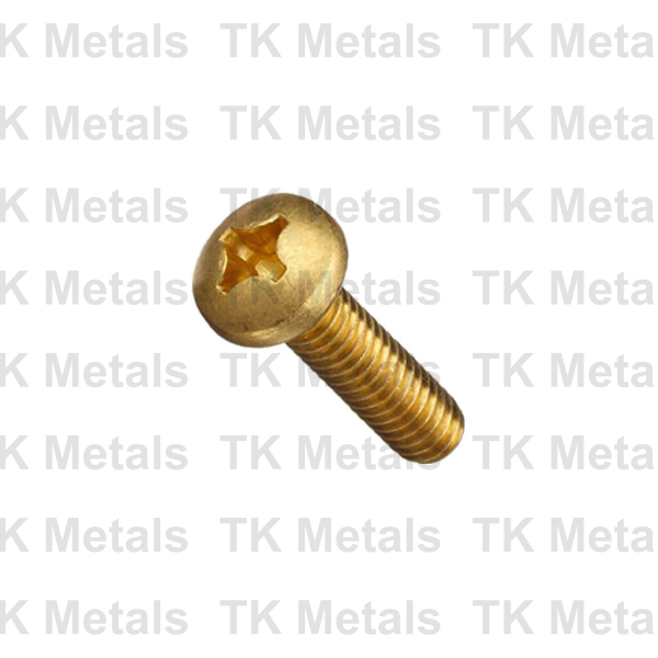 Pan Head Screw