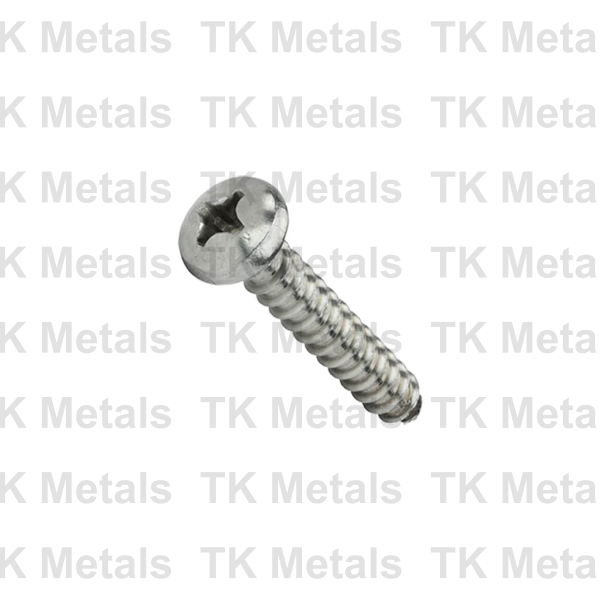 Pan Head Screw