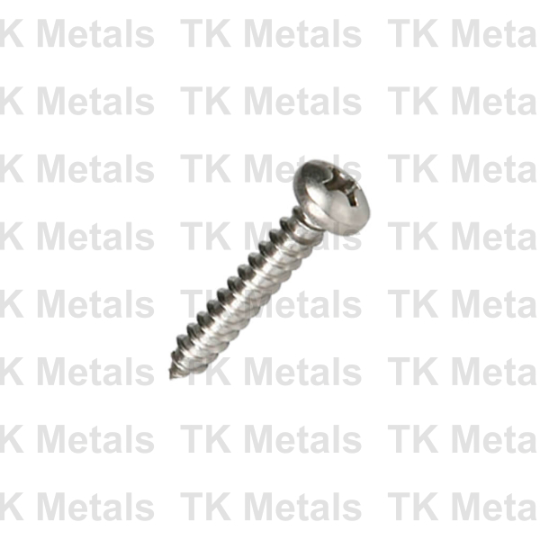 Self Tapping Screw